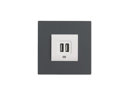 Eelectron PO45A01MV-GO OL-U Socket Cover Frame 45 mm, 2-Module – Metal Gold
